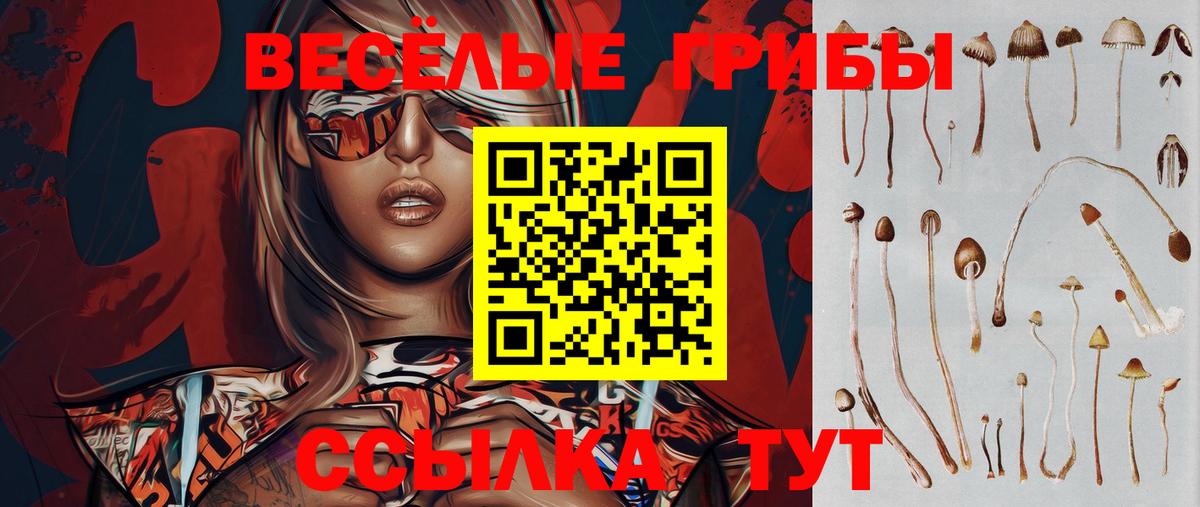 Галлюциногенные грибы Psilocybine cubensis  Вход с VPN  Псилоцибиновые грибы GOLDEN TEACHER  Верхняя Пышма 