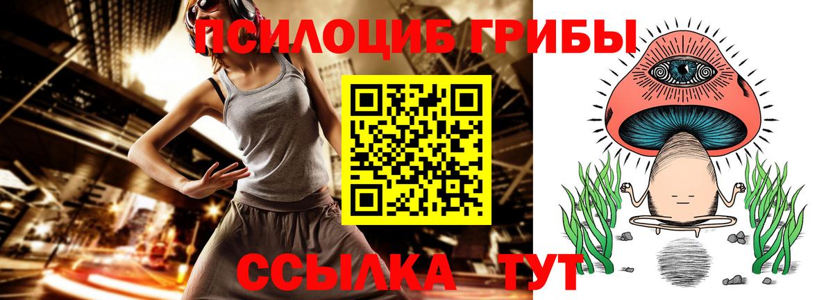 Псилоцибиновые грибы прущие грибы Верхняя Пышма